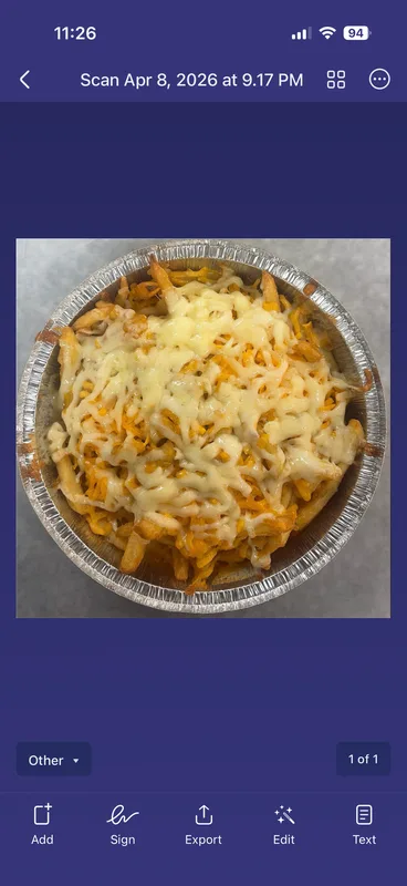 Cheese Fries
