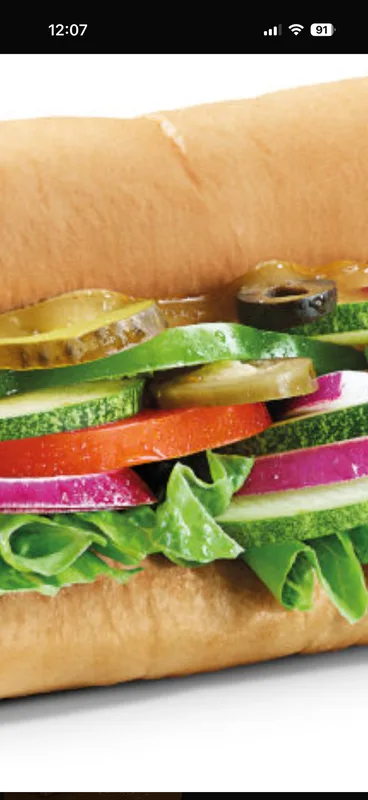 Vegetarian Sub