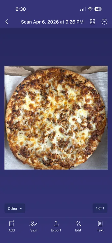 BBQ Chicken Pizza