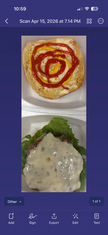 Cheeseburger Sandwich